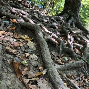 Meet your Posher, Anastasia